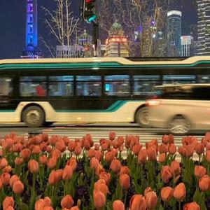 贵在真实稀缺的视频
